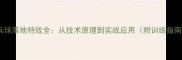 乒乓球落地特效全从技术原理到实战应用附训练指南