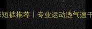 爆款乒乓球短裤推荐专业运动透气速干款闭眼入
