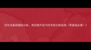 羽毛球基础辅助训练高效提升技巧的系统训练指南零基础必看