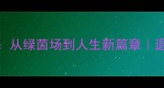 85年出生球员退役从绿茵场到人生新篇章退役球员转型启示录