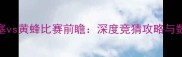 活塞vs黄蜂比赛前瞻深度竞猜攻略与数据