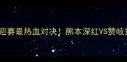 日本职棒夏巡赛最热血对决熊本深红VS赞岐黄金全回顾