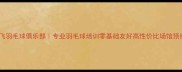 上海鸿飞羽毛球俱乐部专业羽毛球培训零基础友好高性价比场馆预约攻略