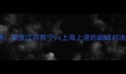 上港vs苏宁比赛集锦深度江苏苏宁vs上海上港的巅峰对决足坛焦点战全记录
