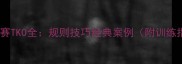 拳击比赛TKO全规则技巧经典案例附训练指南