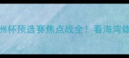 阿曼vs新加坡亚洲杯预选赛焦点战全看海湾雄鹰如何逆袭东南亚虎