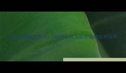 羽毛球趣味技巧大8种特色玩法助你突破技术瓶颈