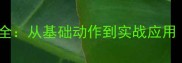 羽毛球起球技巧全从基础动作到实战应用附训练计划