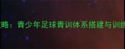 自建球队全攻略青少年足球青训体系搭建与训练方法指南