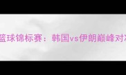 亚洲篮球锦标赛韩国vs伊朗巅峰对决全