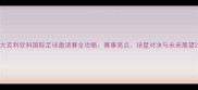 大克利钦科国际足球邀请赛全攻略赛事亮点球星对决与未来展望