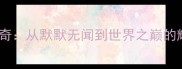 中国羽毛球传奇从默默无闻到世界之巅的辉煌崛起之路