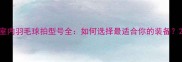 室内羽毛球拍型号全如何选择最适合你的装备