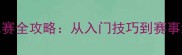 乒乓球比赛全攻略从入门技巧到赛事经验分享