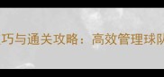 FM比赛跳过技巧与通关攻略高效管理球队的秘密武器