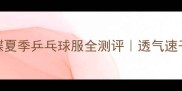 夏日必备蝴蝶夏季乒乓球服全测评透气速干专业装备大公开
