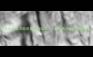 泉州芙蓉乒乓球邀请赛圆满落幕全民体育热潮点燃城市活力