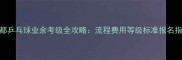 成都乒乓球业余考级全攻略流程费用等级标准报名指南