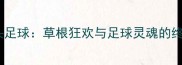 巴西街头足球草根狂欢与足球灵魂的终极诠释