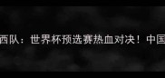 中国男足vs巴西队世界杯预选赛热血对决中国足球逆袭之路全