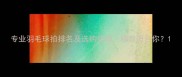 专业羽毛球拍排名及选购指南哪款适合你