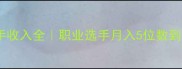 羽毛球选手收入全职业选手月入5位数到千万的真相