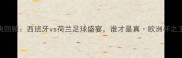 经典对决回顾西班牙vs荷兰足球盛宴谁才是真欧洲杯之王