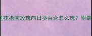 体育赛事胜利送花指南玫瑰向日葵百合怎么选附最新花礼搭配攻略