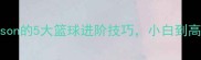 NBA传奇控卫MagicJohnson的5大篮球进阶技巧小白到高手必看附训练计划表
