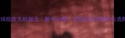 乒乓球胶皮无机版全新手必看无机胶皮的优势与选购指南