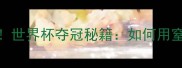 克罗地亚控球率超70世界杯夺冠秘籍如何用窒息式控球压制对手