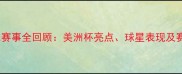 巴西足球赛事全回顾美洲杯亮点球星表现及赛事影响