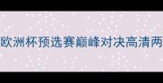 意大利男篮vs立陶宛男篮欧洲杯预选赛巅峰对决高清两队攻防体系与核心球员表现