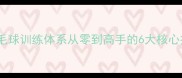 张军教练职业级羽毛球训练体系从零到高手的6大核心技巧附教学视频