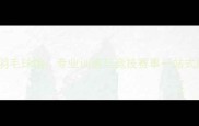重庆陈诚羽毛球馆专业训练与竞技赛事一站式服务平台