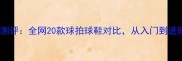高性价比羽毛球测评全网20款球拍球鞋对比从入门到进阶选装备全攻略
