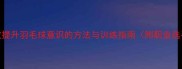 5大核心技巧高效提升羽毛球意识的方法与训练指南附职业选手意识培养方案
