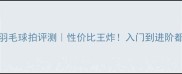 李宁300羽毛球拍评测性价比王炸入门到进阶都能打