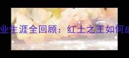 拉斐尔纳瓦罗职业生涯全回顾红土之王如何成就网坛传奇之路