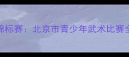 京华大地青少年武术锦标赛北京市青少年武术比赛全纪录与全民健身热潮