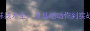 乒乓球吊球技术全从基础动作到实战应用技巧