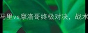 非洲杯预选赛马里vs摩洛哥终极对决战术与历史交锋数据