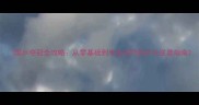 国乒夺冠全攻略从零基础到专业技巧的乒乓逆袭指南