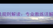 羽毛球换边手势正确做法及规则解读专业教练详解换边流程与误判处理技巧
