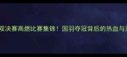 羽毛球混双决赛高燃比赛集锦国羽夺冠背后的热血与泪点全记录