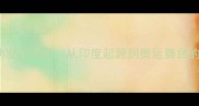 羽毛球运动发展历程从印度起源到奥运舞台的百年蜕变