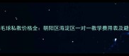 北京羽毛球私教价格全朝阳区海淀区一对一教学费用表及避坑指南