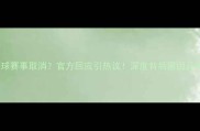 日本乒乓球赛事取消官方回应引热议深度背后原因及未来展望