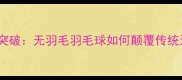 环保科技新突破无羽毛羽毛球如何颠覆传统运动体验