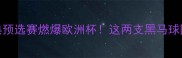 白俄罗斯vs瑞典预选赛燃爆欧洲杯这两支黑马球队谁能逆袭晋级